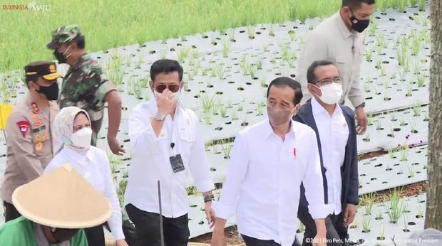 Presiden Jokowi Tinjau Lokasi Food Estate, Temanggung, 14 Desember 2021. (Tangkapan Layar Youtube  Sekretariat Presiden)