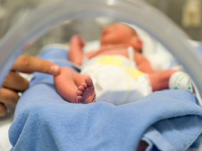 bayi baru lahir