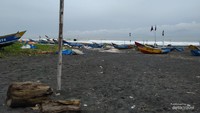 Ikan, Laut Selatan, Congot, Jogja, Nelayan