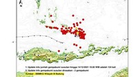 Ada 313 Gempa Susulan Usai Terjadi Gempa M 7,4 di NTT