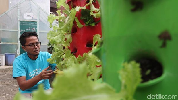 Kebun Sayur di Atap Masjid Bandung