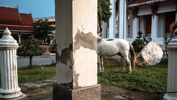 Karya Guillermo Espinosa dari Jerman Foto: APP Magazine