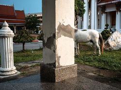 Terkesima dengan Karya Jawara Kontes Street Photos AAP Magazine