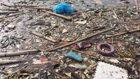 Sampah yang memenuhi Waduk Jatigede bermacam-macam mulai dari sampah plastik hingga batang pohon.