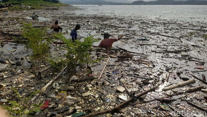 Sejak memasuki musim hujan, kawasan pesisir Waduk Jatigede, Kabupaten Sumedang dipenuhi lautan sampah. Begini penampakannya.