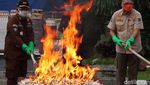 Serba Ilegal, Rokok Hingga Miras Dimusnahkan