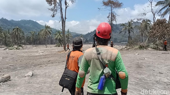 relawan semeru