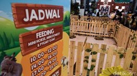 Pengunjung juga bisa memberi pakan hewan di jam-jam tertentu.