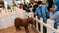 Jingle Barn digelar dalam rangka menyambut hari raya Natal.