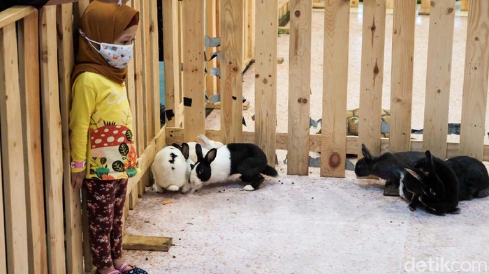 Satwa seperti kuda, keledai, sampai kambing mejeng di pusat perbelanjaan di Tangerang. Seperti apa penampakannya?