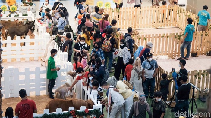 Sambut Natal, Kuda hingga Kambing Mejeng di Mal Tangerang Satwa seperti kuda, keledai, sampai kambing mejeng di pusat perbelanjaan di Tangerang. Seperti apa penampakannya?