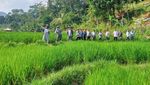 Potret Wisata Alam Hits di Bogor, Bikin Hati Adem