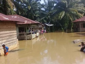Sungai Batang Toru Meluap, Permukiman di Tapsel Terendam Banjir