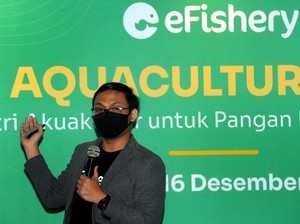 Gara-gara eFishery, Anak Muda Rela Balik ke Kampung Urus Kolam