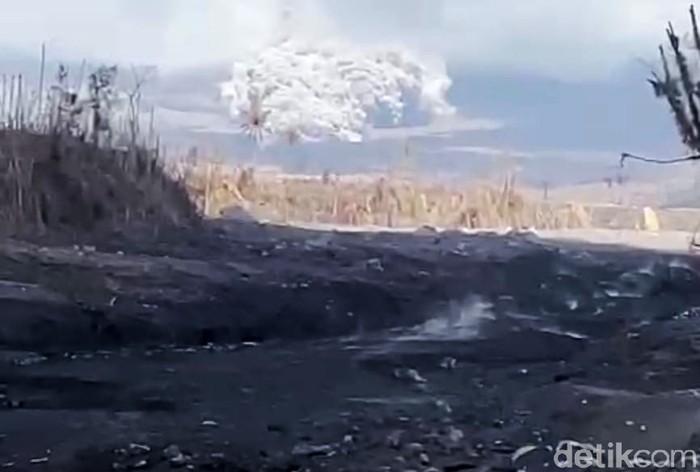 Gunung Semeru kembali mengalami erupsi, Kamis (16/12/2021). Gunung tertinggi di Pulau Jawa ini meluncurkan awan panas guguran atau APG yang cukup besar. Warga yang berada di dekat lokasi panik. Mereka diperintahkan menjauh.