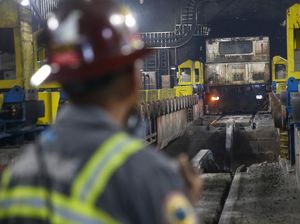 Freeport Buka Lowongan Pekerjaan, yang Lolos Digaji Segini