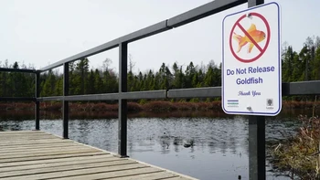 Sebagai langkah antisipasi, dipajang larangan untuk membuang ikan mas peliharaan ke danau atau telaga di beberapa wilayah Kanada. Foto: Fisheries and Oceans Canada