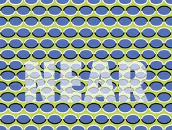 Ilusi Optik Ini Bisa Bikin Pusing Otak & Tipu Mata Kamu, Berani Buktikan?