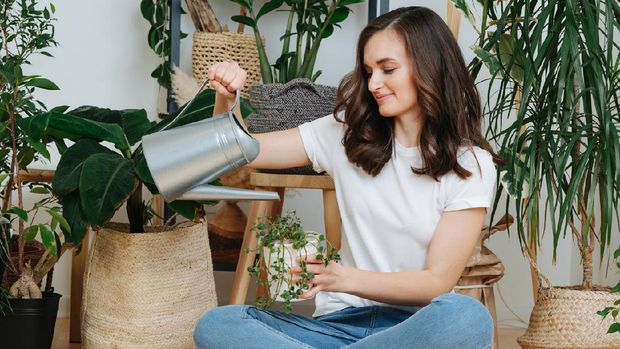 Young happy brunette woman pouring water from watering can on potted plants in her home greenhouse, her little private garden. She's sitting cross-legged on a floor.