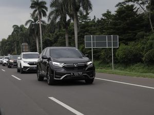 Ketahui Makna Garis Putih di Jalan, Biar Nggak Asal Nyalip!
