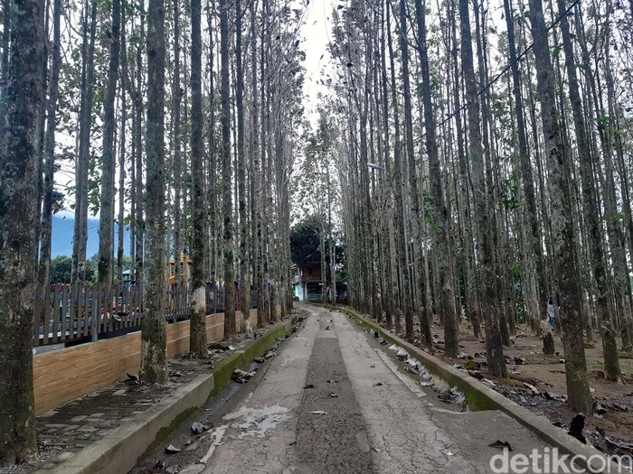 Kebon Jati Pancawati Bogor