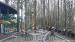 Segar Banget! Ini Potret Kebun Jati Hits di Bogor