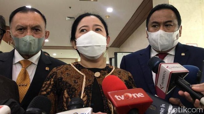 Ketua DPR RI Puan Maharani (Firda Cynthia Anggrainy/detikcom).