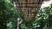 Kontruksi jembatan yang ditopang oleh tali baja dan bambu tersebut nampak tak terawat dan keropos sehingga dapat membahayakan pejalan kaki saat menyeberang.