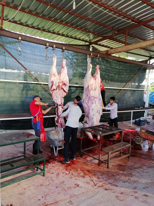 4 Kriteria Makanan dan Minuman Halal Menurut Islam
