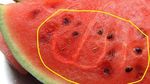 10 Makanan Berlafaz Allah SWT Ini Sempat Gegerkan Netizen