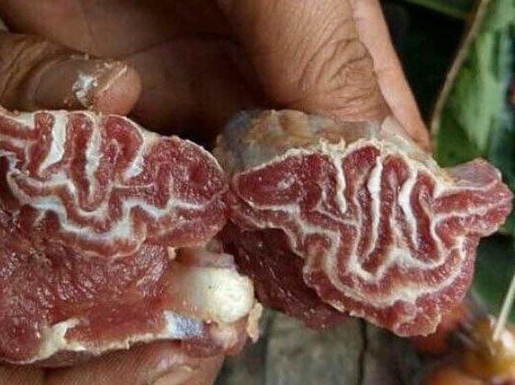 10 Makanan Berlafaz Allah SWT Ini Sempat Gegerkan Netizen