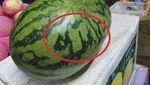 10 Makanan Berlafaz Allah SWT Ini Sempat Gegerkan Netizen