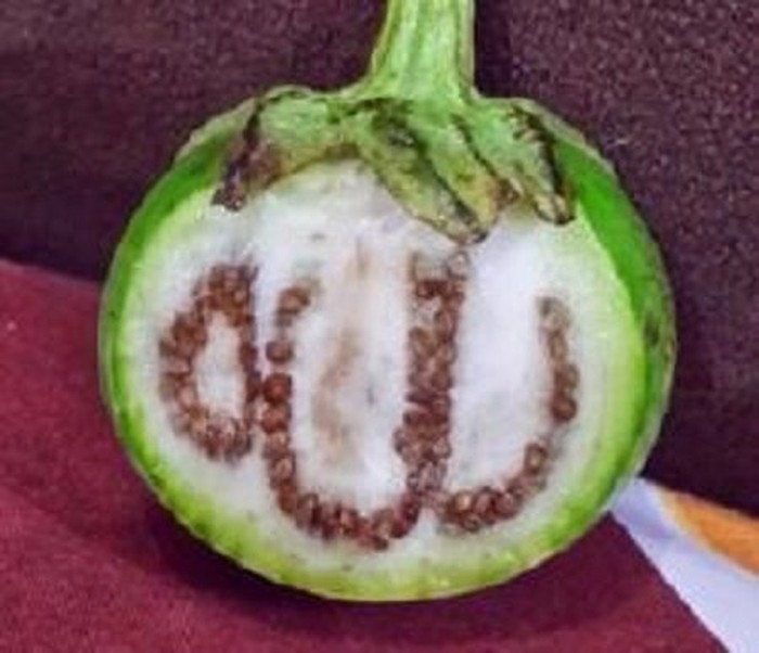 10 Makanan Berlafaz Allah SWT Ini Sempat Gegerkan Netizen