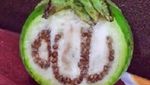 10 Makanan Berlafaz Allah SWT Ini Sempat Gegerkan Netizen