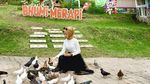 Agrowisata Bhumi Merapi, Spot Instagramable Baru di Yogya