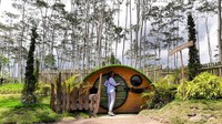 Rumah Hobbit yang unik dan menjadi tujuan para traveller.