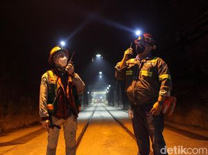 Bos Freeport Ungkap Dampak Buruk Jika Tambang di Papua Setop 2041