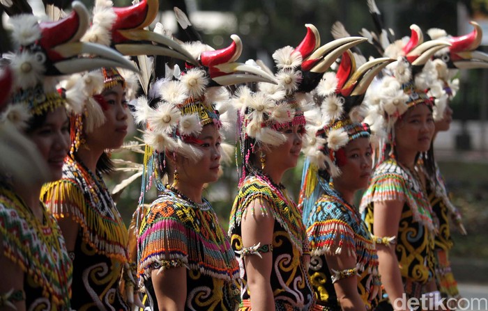 Mengenal 3 Pakaian Adat Kalimantan Barat Khas Suku Dayak Dan Melayu