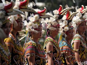 Suku-Suku di Pulau Kalimantan Beserta Penjelasannya, Ada Dayak-Bugis