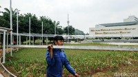 Sekjen DPR menjelaskan, ada konsep green building dalam pembangunan Taman Energi.