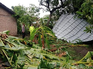 Update Dampak Puting Beliung di Madiun, 7 Orang Luka dan 515 Bangunan Rusak