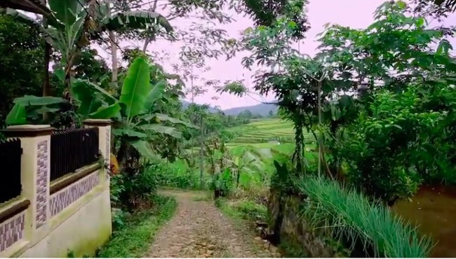 Rumah-rumah modern tersebut bersandingan dengan persawahan dan hutan yang terlihat asri. (Foto: YouTube/Jejak Bang Ibra)