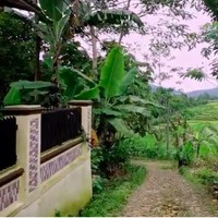 Rumah-rumah modern tersebut bersandingan dengan persawahan dan hutan yang terlihat asri. (Foto: YouTube/Jejak Bang Ibra)
