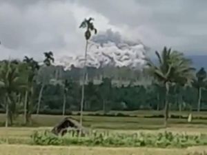 Gunung Semeru Luncurkan Awan Panas, Petani di Sawah Dievakuasi
