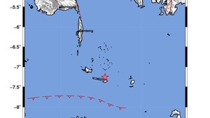 BMKG Catat 663 Gempa Susulan Usai Gempa M 7,4 di Laut Flores NTT