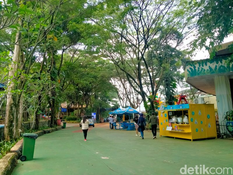 JungleLand Sentul kembali beroperasi pada hari Jumat ini (17/12/2021).