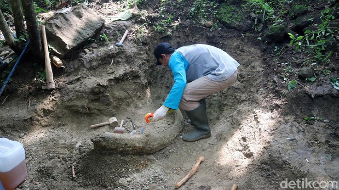 Melihat Proses Evakuasi Fosil Gajah Purba di Kudus Fosil gading stegodon atau gajah purba sepanjang 1,5 meter dievakuasi petugas. Fosil itu ditemukan di persawahan warga lereng Pegunungan Patiayam, Kudus, Jawa Tengah.