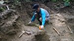 Melihat Proses Evakuasi Fosil Gading Gajah Purba di Kudus