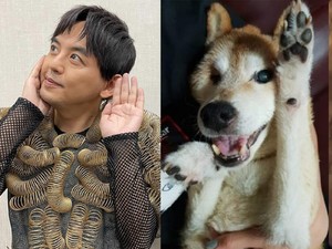 Duh, Artis Ini Percaya Jika Calon Bayinya Adalah Reinkarnasi Anjing Miliknya