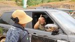 Penampakan Lahan Proyek Lapangan Golf Tommy Soeharto di Sentul